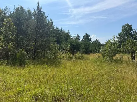 Abc County 2, Nevis, MN 56467 photo 12