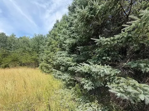 Abc County 2, Nevis, MN 56467 photo 13