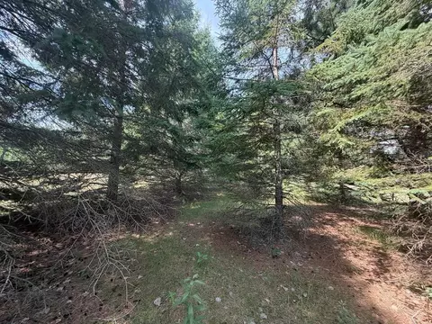 Abc County 2, Nevis, MN 56467 photo 15