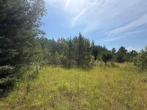 Abc County 2, Nevis, MN 56467 photo 14