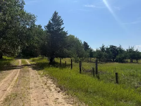 Abc County 2, Nevis, MN 56467 photo 8