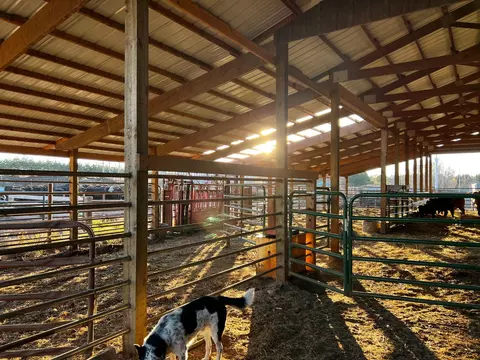 Other - 14844 129th Ave, Park Rapids, MN 56470 photo 6 of 7