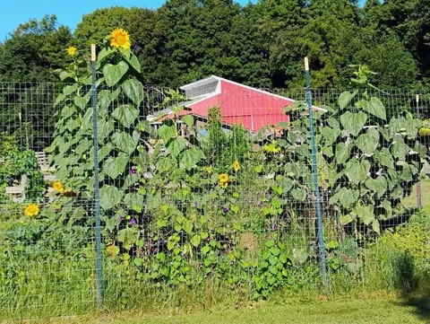 Other - 2989 140th St E, Dundas, MN 55019 photo 31 of 69