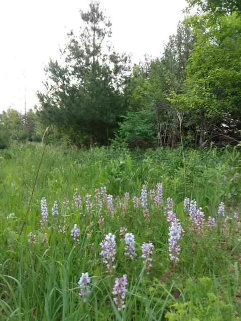 Other - 2989 140th St E, Dundas, MN 55019 photo 48 of 69