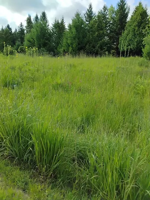 Other - 2989 140th St E, Dundas, MN 55019 photo 55 of 69