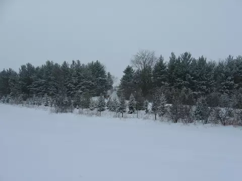 Other - 2989 140th St E, Dundas, MN 55019 photo 65 of 69