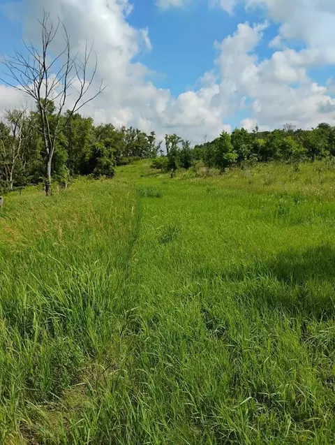Other - 2989 140th St E, Dundas, MN 55019 photo 60 of 69