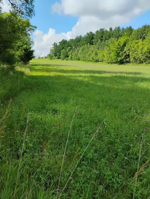 Other - 2989 140th St E, Dundas, MN 55019 photo 53 of 69
