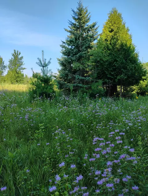 Exterior - 2989 140th St E, Dundas, MN 55019 photo 31 of 32