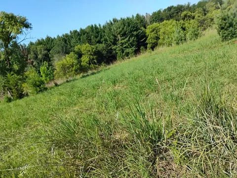 Other - 2989 140th St E, Dundas, MN 55019 photo 62 of 69