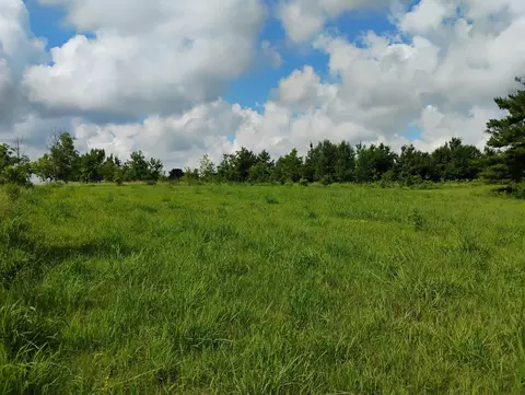 Other - 2989 140th St E, Dundas, MN 55019 photo 58 of 69