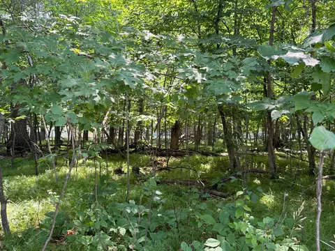 tbd Breezy Point Blvd, Breezy Point, MN 56472