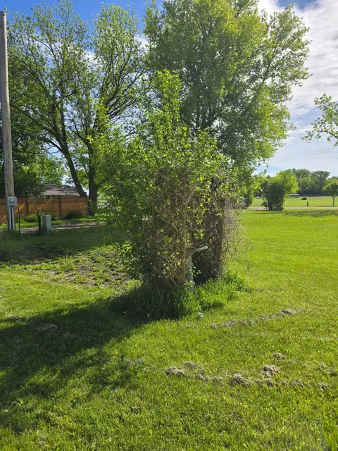 Exterior - 604 E Willow Ave, Olivia, MN 56277 photo 10 of 11
