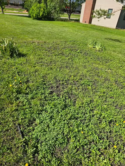 Exterior - 604 E Willow Ave, Olivia, MN 56277 photo 11 of 11