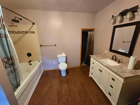 Bath - 604 E Willow Ave, Olivia, MN 56277 photo 2 of 2