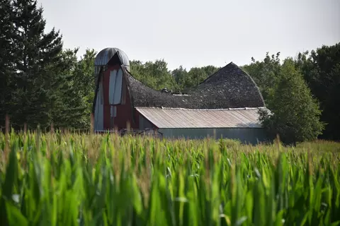 17891 90th Ave, Milaca, MN 56353 photo 11
