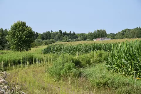 17891 90th Ave, Milaca, MN 56353 photo 26