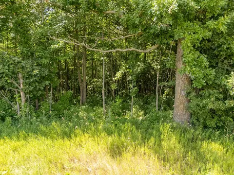 tbd Nnn County Road 3, Eagle Bend, MN 56446 photo 3