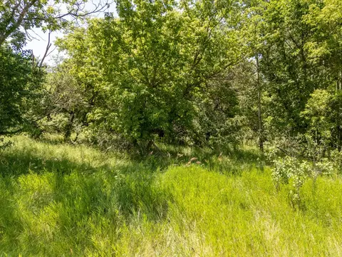 tbd Nnn County Road 3, Eagle Bend, MN 56446 photo 6