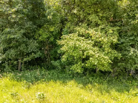 tbd Nnn County Road 3, Eagle Bend, MN 56446 photo 4