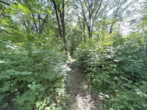 Other - 39332 460th Ave, Perham, MN 56573 photo 6 of 7