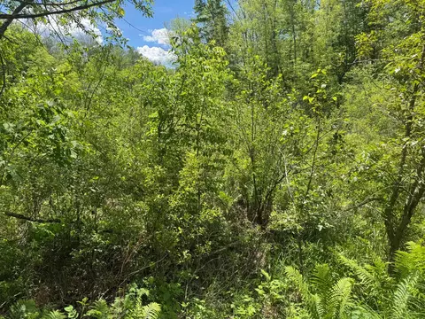 23637 561st Ln, Mcgregor, MN 55760 photo 56