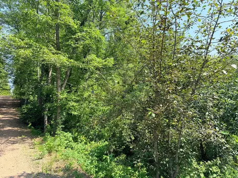 23637 561st Ln, Mcgregor, MN 55760 photo 6