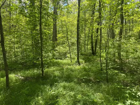23637 561st Ln, Mcgregor, MN 55760 photo 71