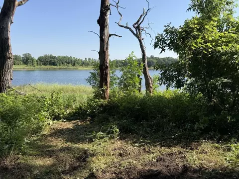 tbd 460th Ave, Perham, MN 56573 photo 11