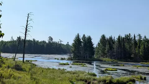 lot C Hwy 24, Orr, MN 55771 photo 6