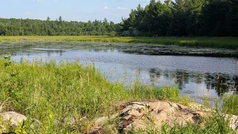 lot C Hwy 24, Orr, MN 55771 photo 5