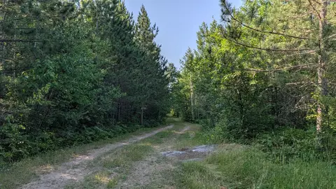 lot C Hwy 24, Orr, MN 55771 photo 4