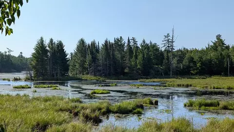 lot C Hwy 24, Orr, MN 55771 photo 7