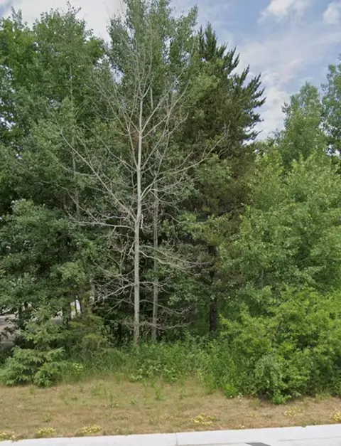 lot15 Pine St, Brainerd, MN 56401 photo 2