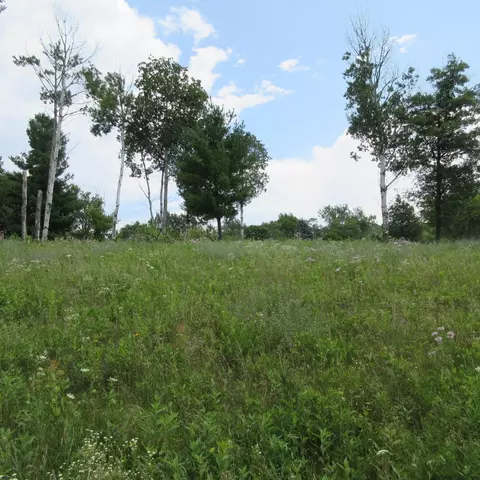 lot13 Street, Menomonie, WI 54751