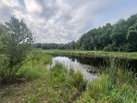 View/Area - 307 Beech Ln S, Onamia, MN 56359 photo 1 of 1