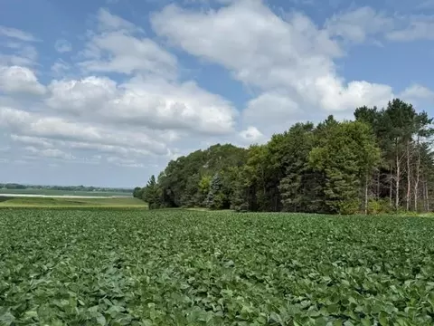lot B Lehigh Rd, Cottage Grove, MN 55016