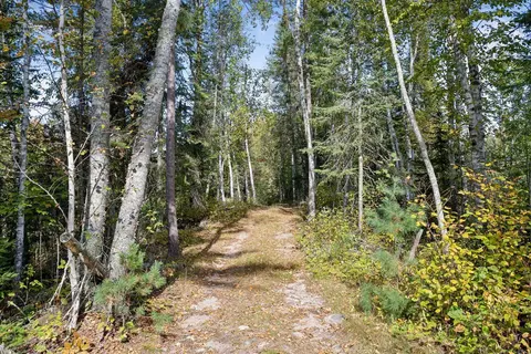 46 Nnn Smith Lake Rd, Marcell, MN 56657 photo 2
