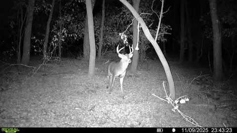 tbd 20th St SE, Becker, MN 55319 photo 5