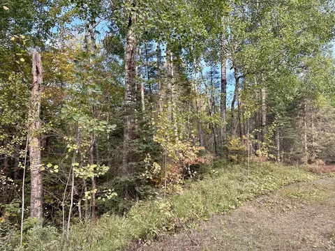 tbd Old Vermilion Trl, Duluth, MN 55803 photo 13