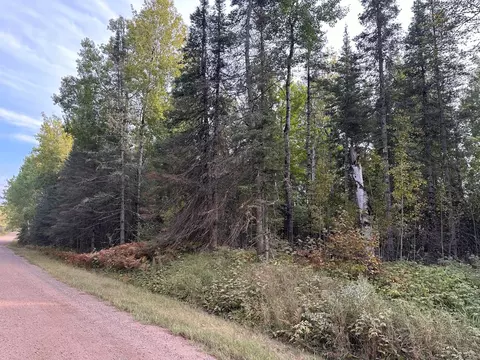 tbd Old Vermilion Trl, Duluth, MN 55803 photo 15