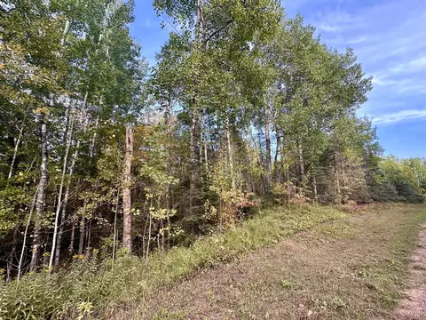 tbd Old Vermilion Trl, Duluth, MN 55803 photo 11