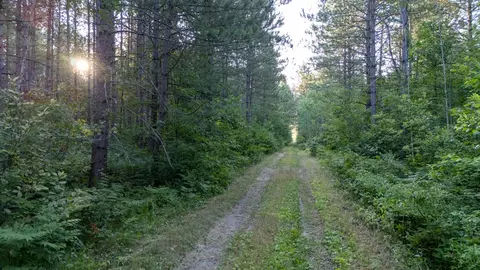 Nesw Forest Road 3845 Ne, Pennington, MN 56663
