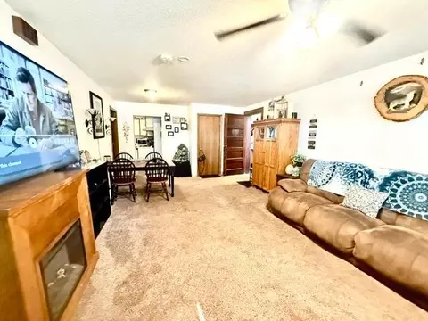 Living - 202 N Cass Ave, Springfield, MN 56087 photo 1 of 4