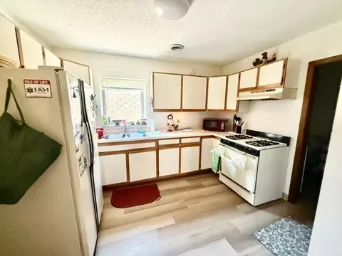 Kitchen - 202 N Cass Ave, Springfield, MN 56087 photo 1 of 4