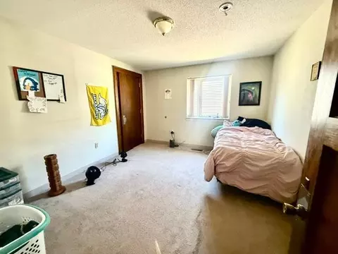 Bedroom - 202 N Cass Ave, Springfield, MN 56087 photo 4 of 4