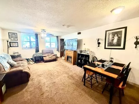 Living - 202 N Cass Ave, Springfield, MN 56087 photo 3 of 4