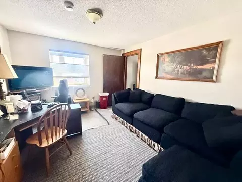 Other - 202 N Cass Ave, Springfield, MN 56087 photo 8 of 10