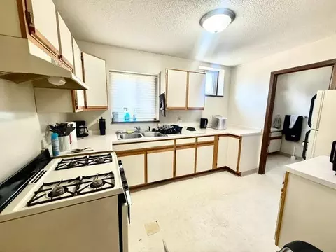 Kitchen - 202 N Cass Ave, Springfield, MN 56087 photo 4 of 4