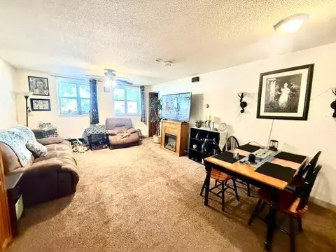 Living - 202 N Cass Ave, Springfield, MN 56087 photo 4 of 4